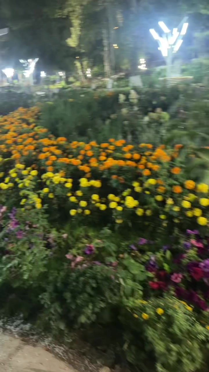@🇰🇬 001