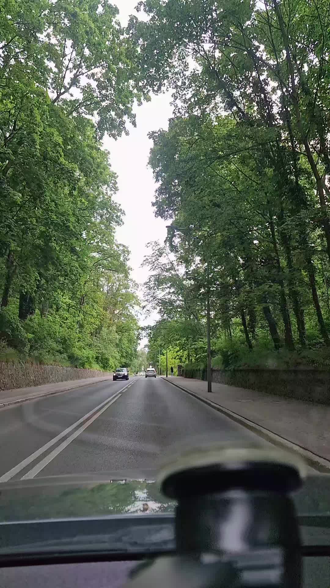 @Michalina Miśka