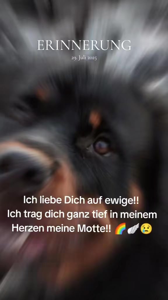@Nicole❤️Schröder🖤Kowalski ❤️