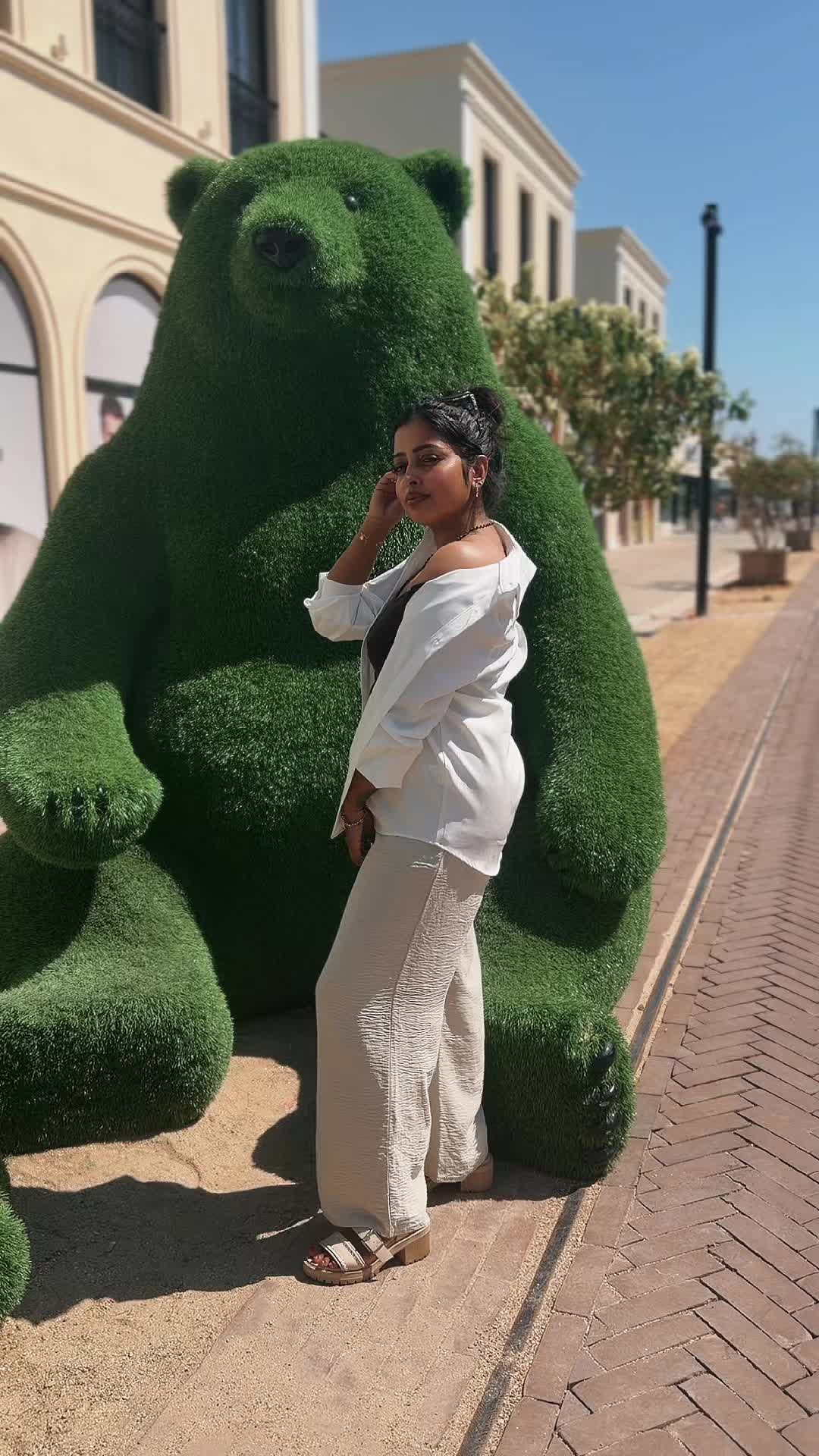 @bhanusha.mithilai