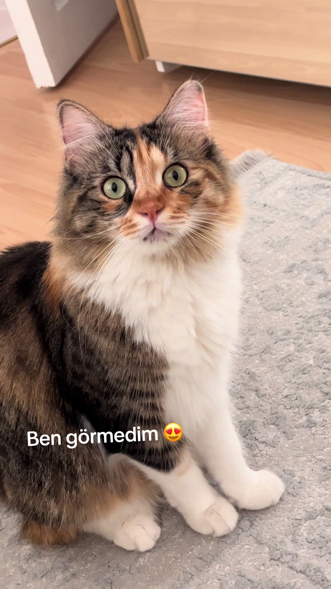 @konusankediminnos