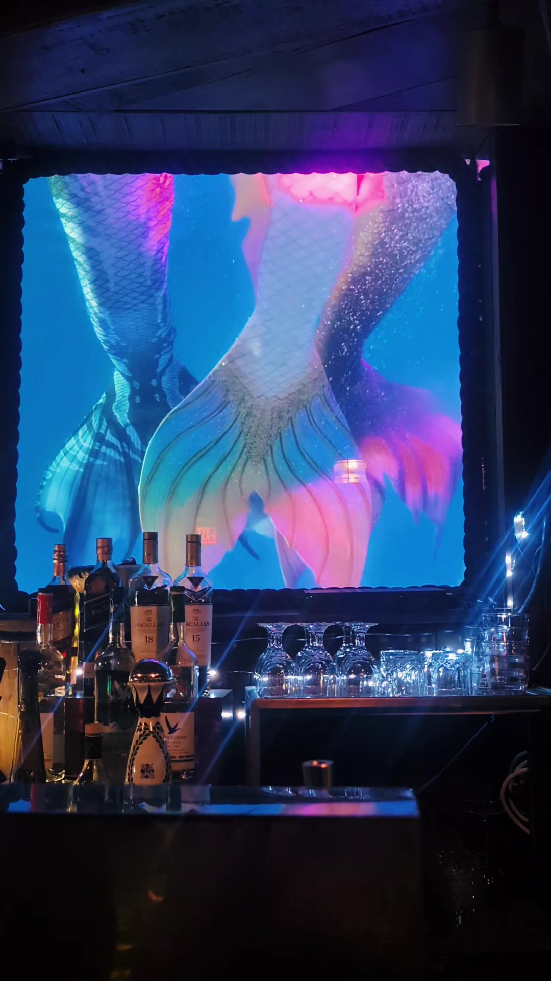 @Muse the Mermaid &reg;