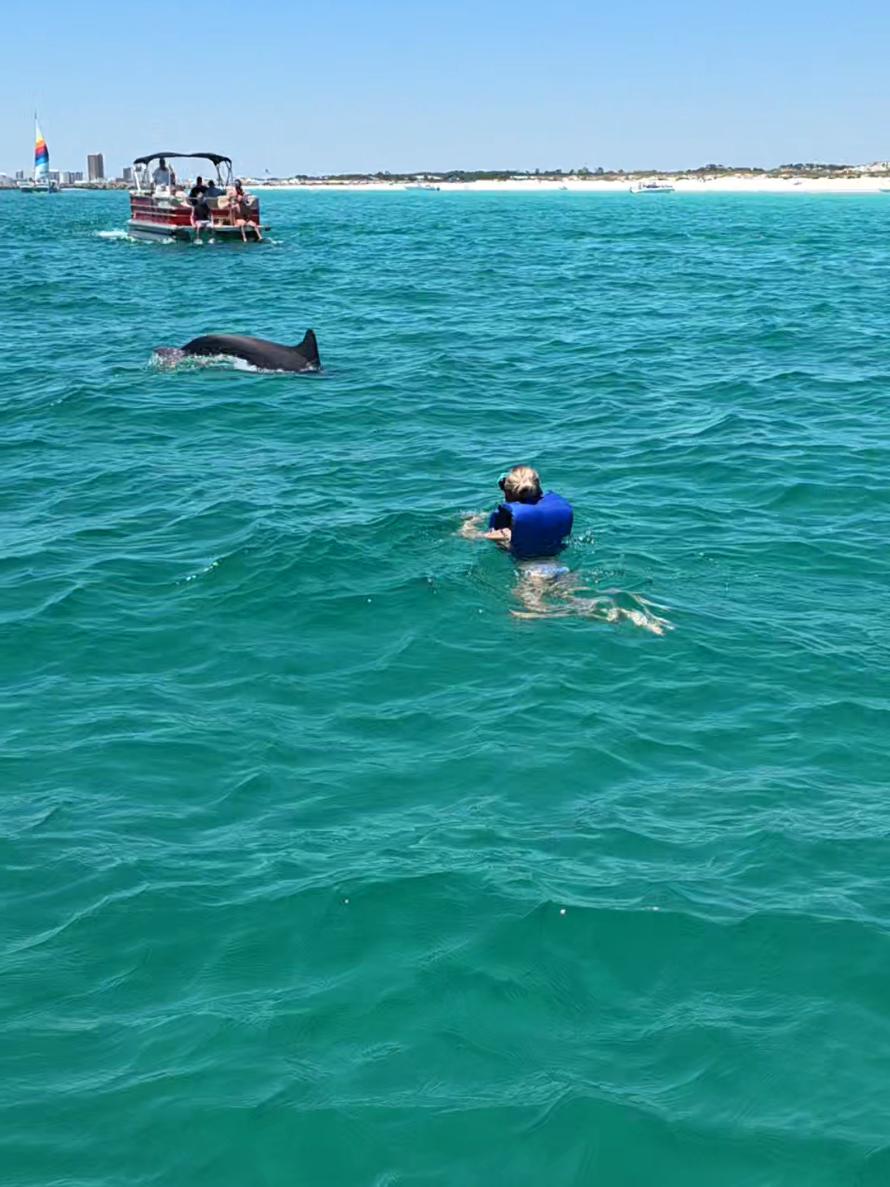 @Shell Island Dolphin Tours 🐬