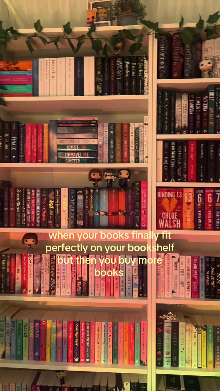 @sania ✮⋆˙