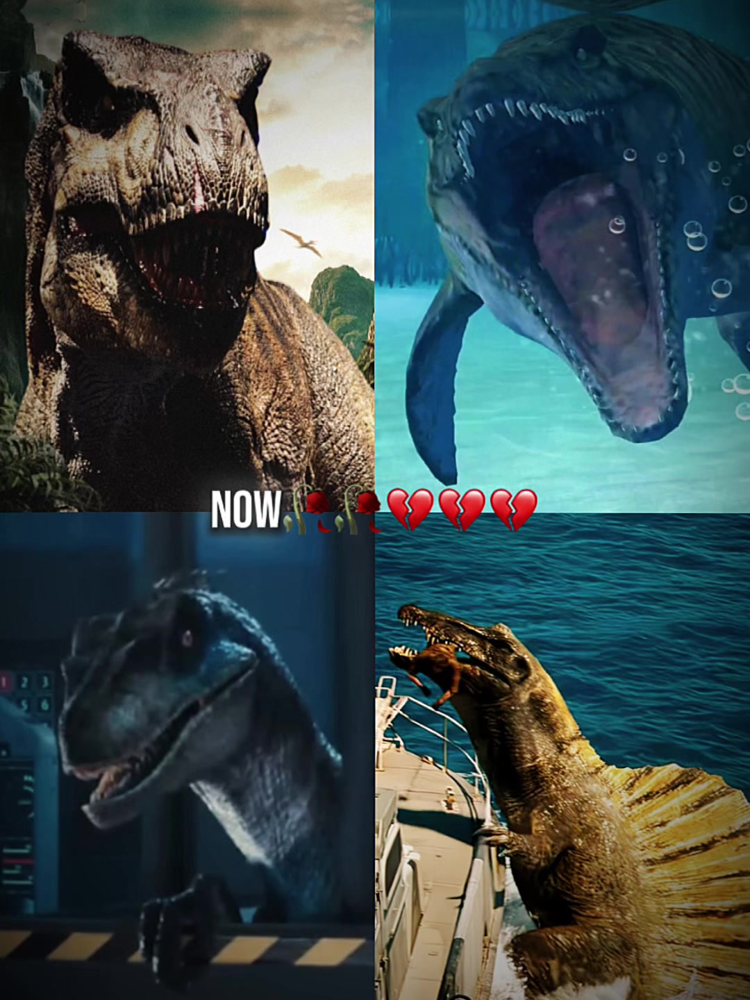 @🦖Anthony🦖