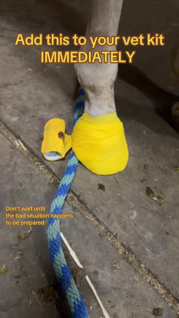 @SAMANTHA | BARREL RACING