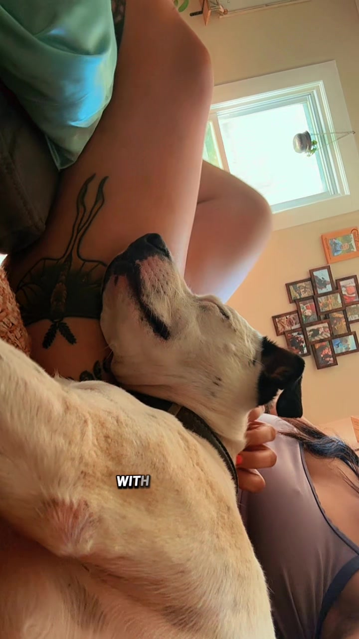 @Autydawn
