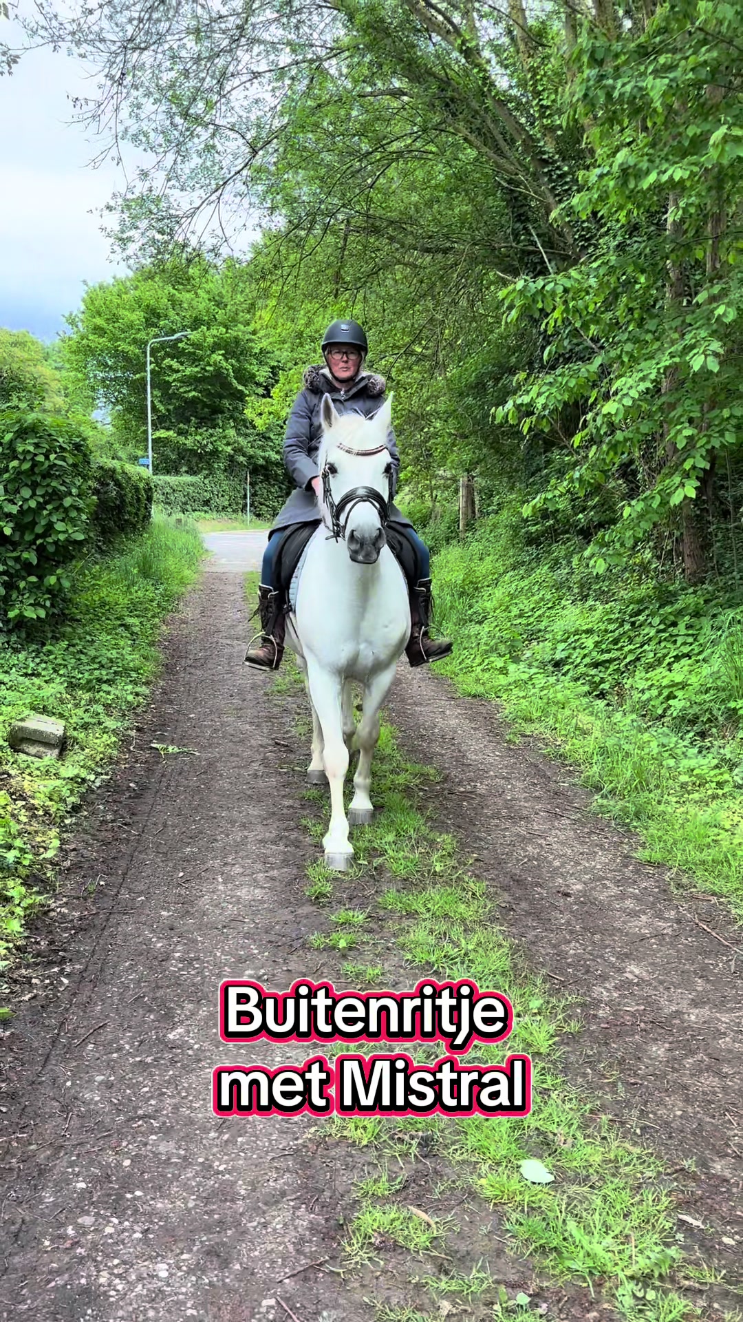 @Syrche Cordewener