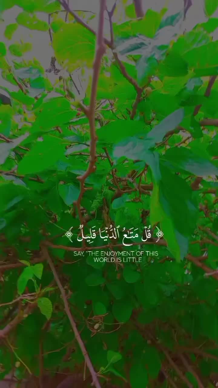 @لمسة فنانة
