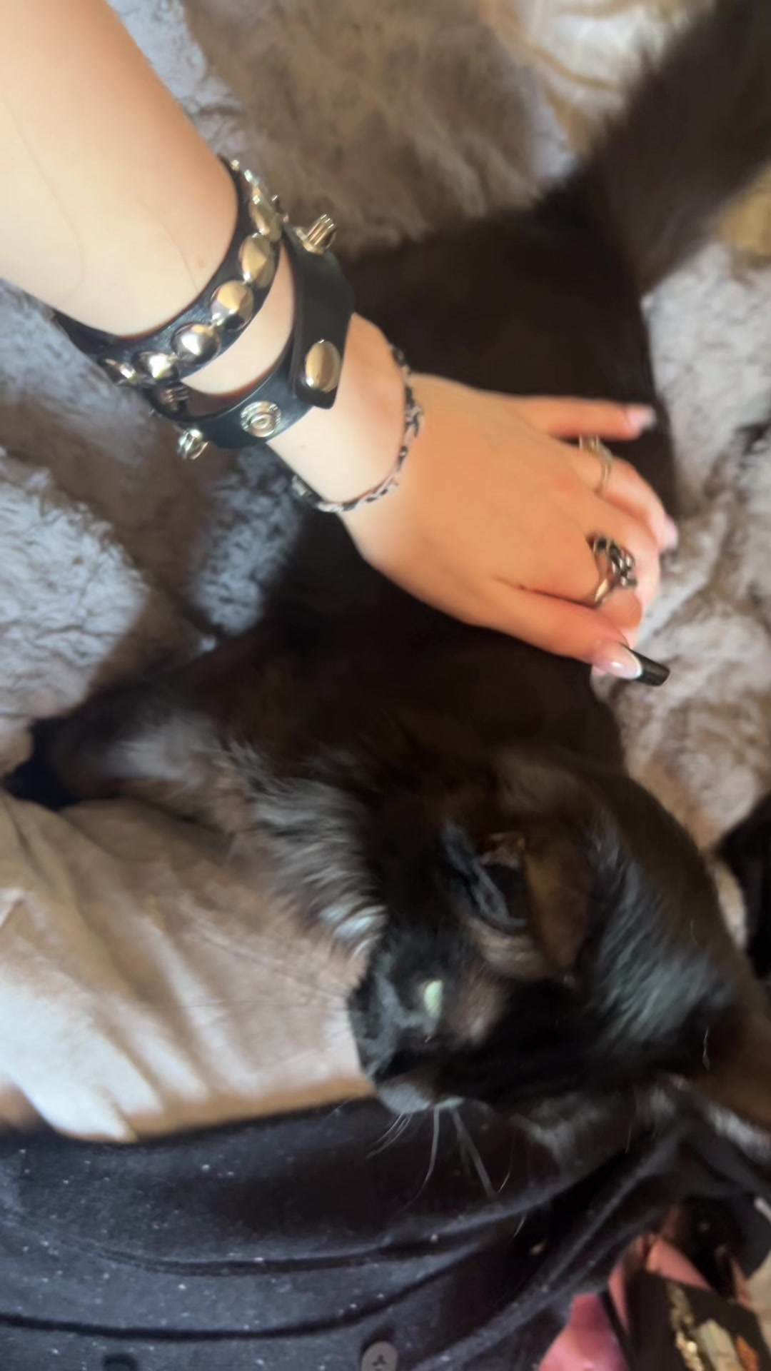 @Lilly 🖤🦇