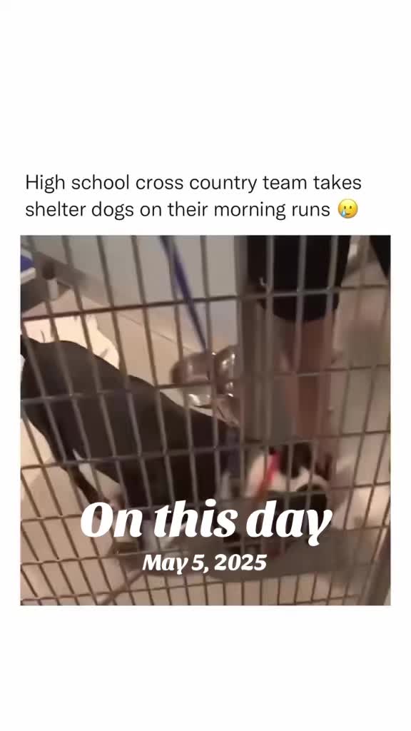 @Greaterthanthegame