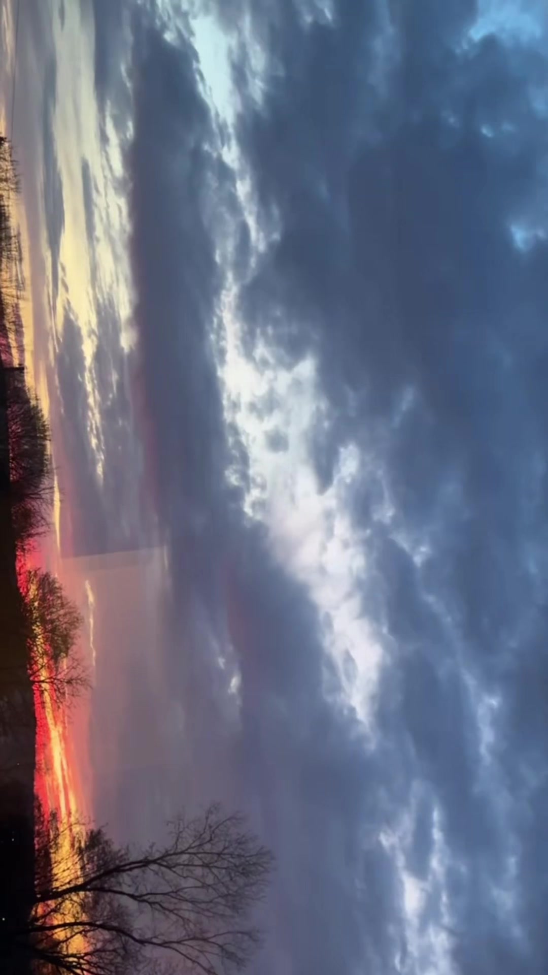 @Pinklssx
