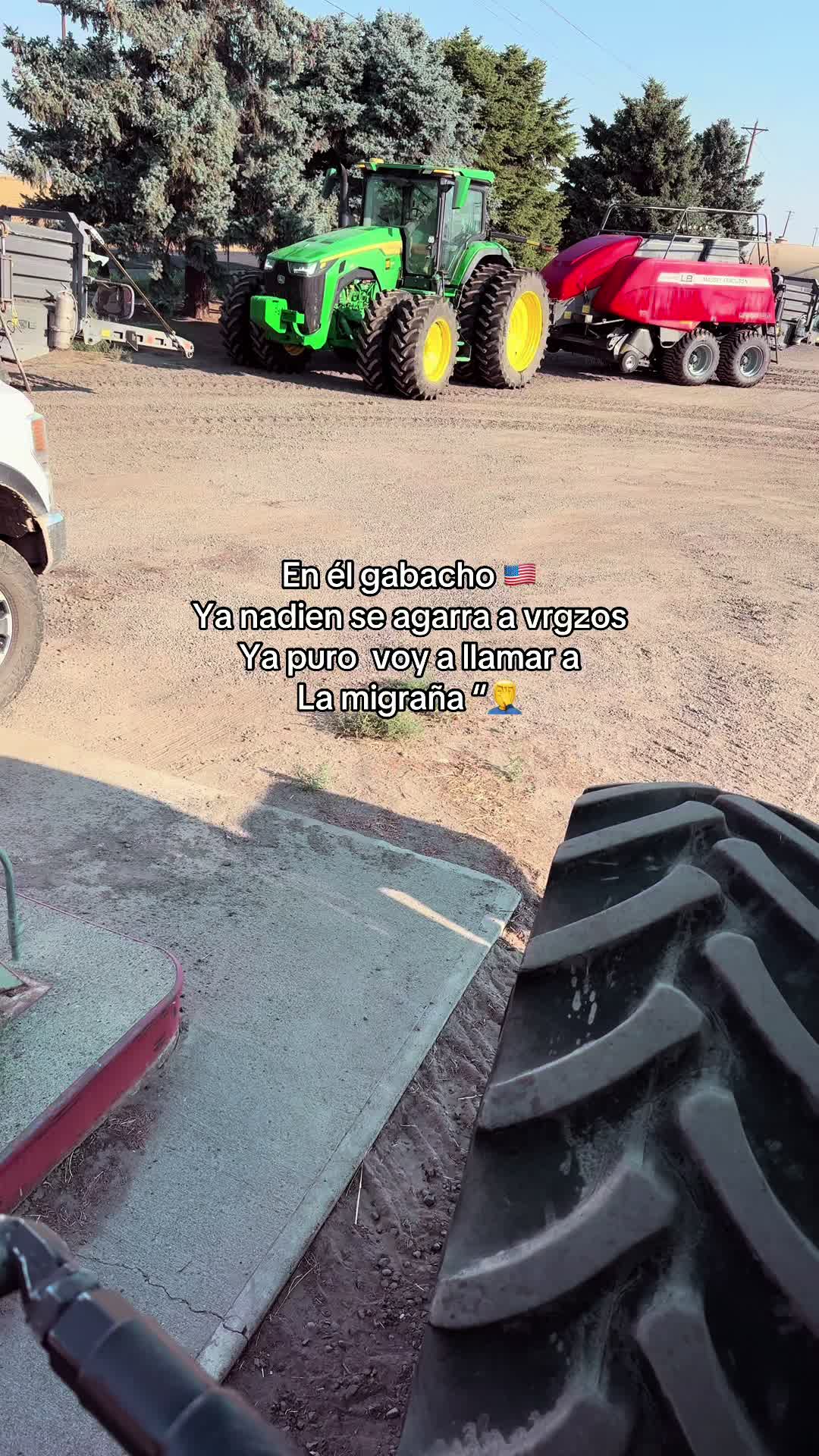 @MARTÍN 🍃