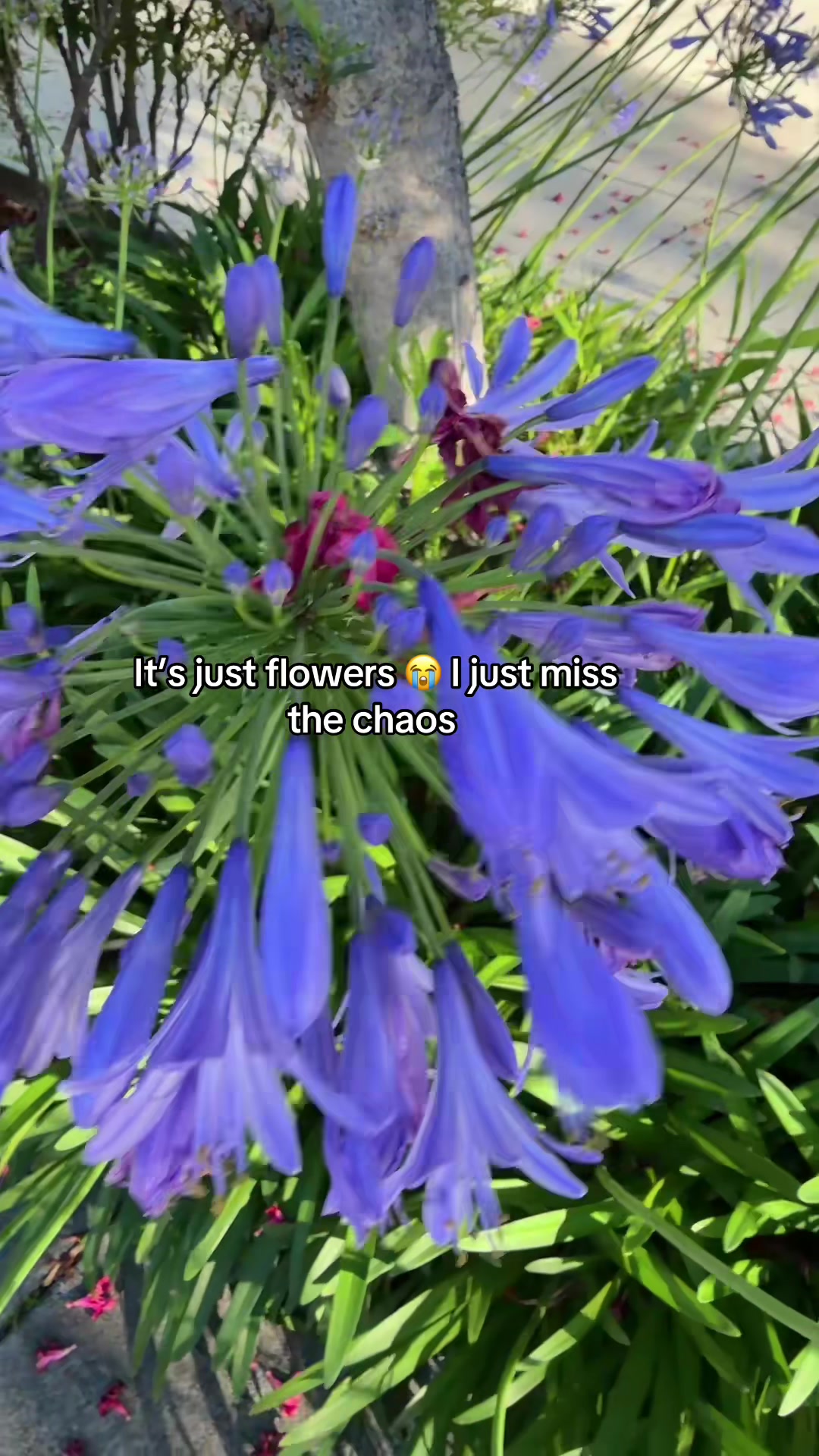 @ToHeY⁷