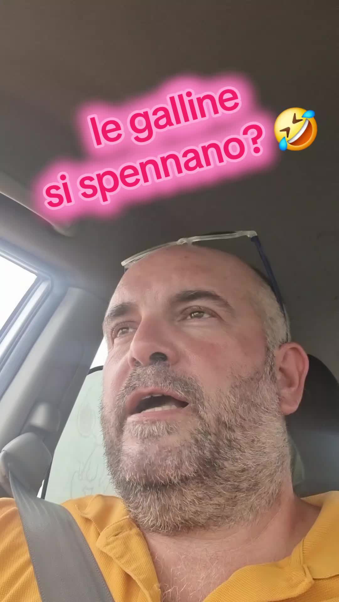 @Il leone e la gallina