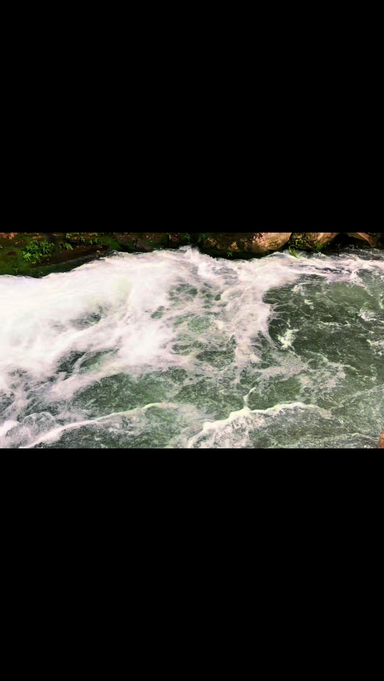 @DiegoJ-Naturaleza