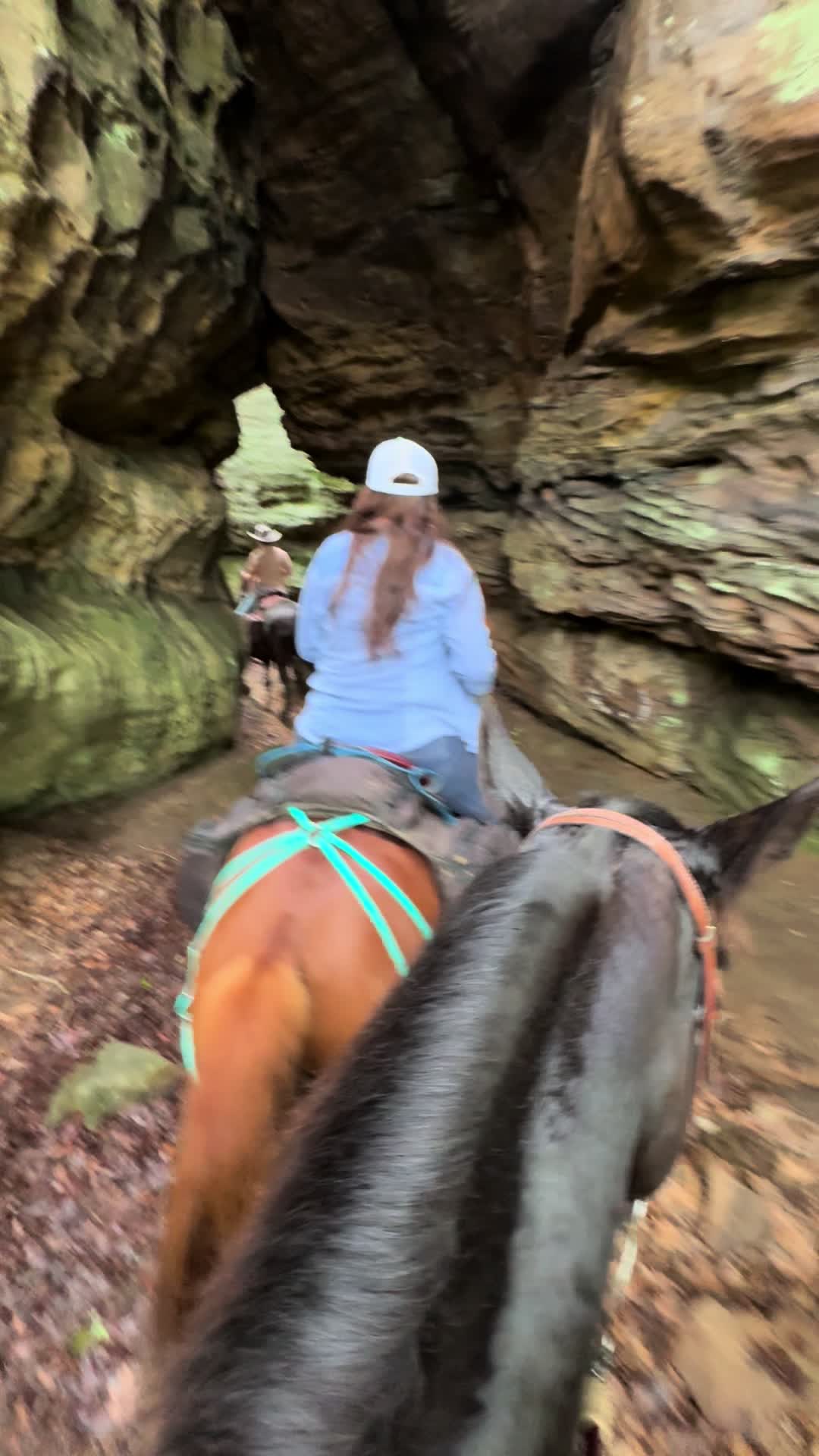 @kentuckyKuntry ❌
