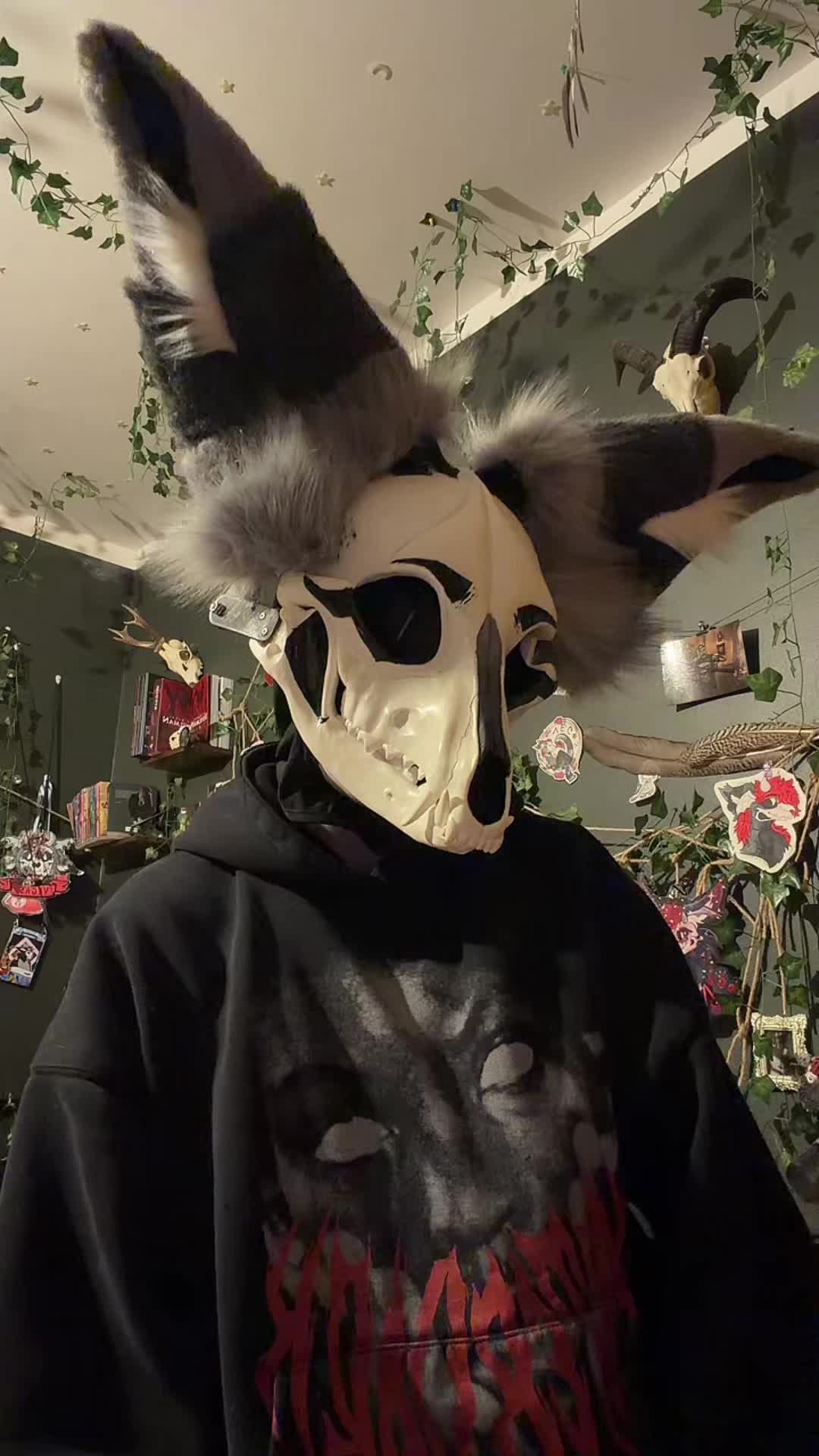 @꧁༺ 𝓥𝓮𝓰𝓪𝓼 ༻꧂