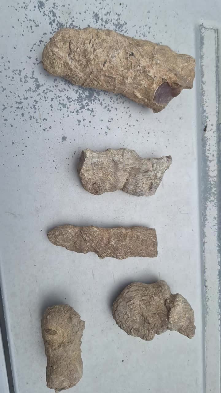 @Nevada HIGHDesert