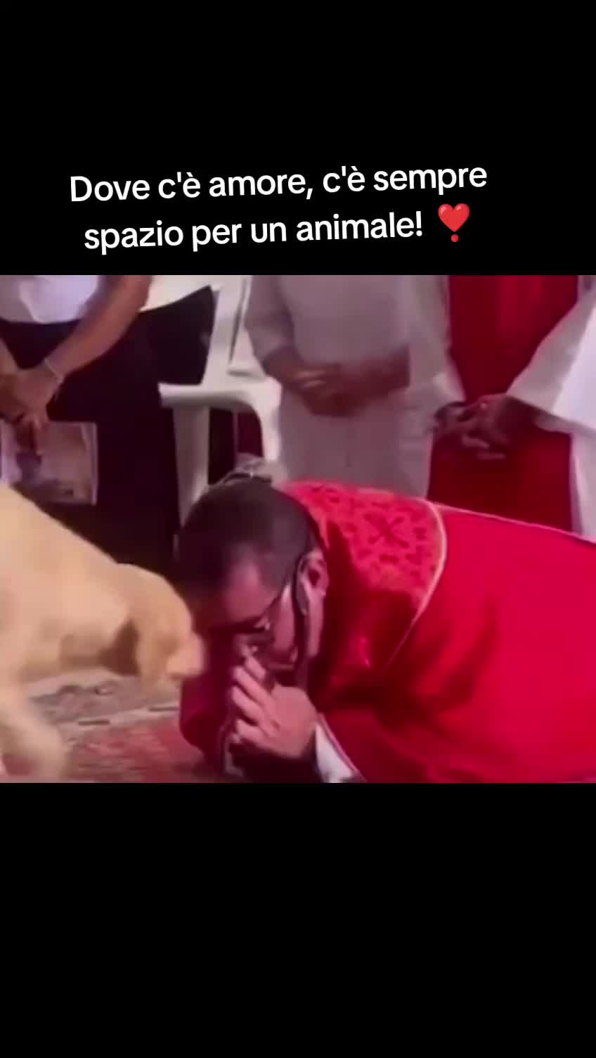 @cuore.animale