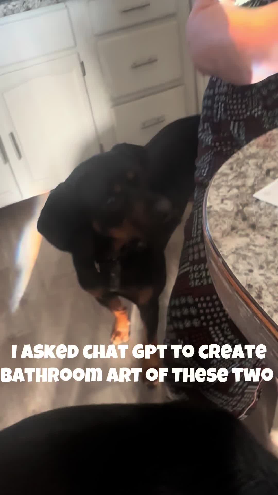 @Kobe and Remi the rescues