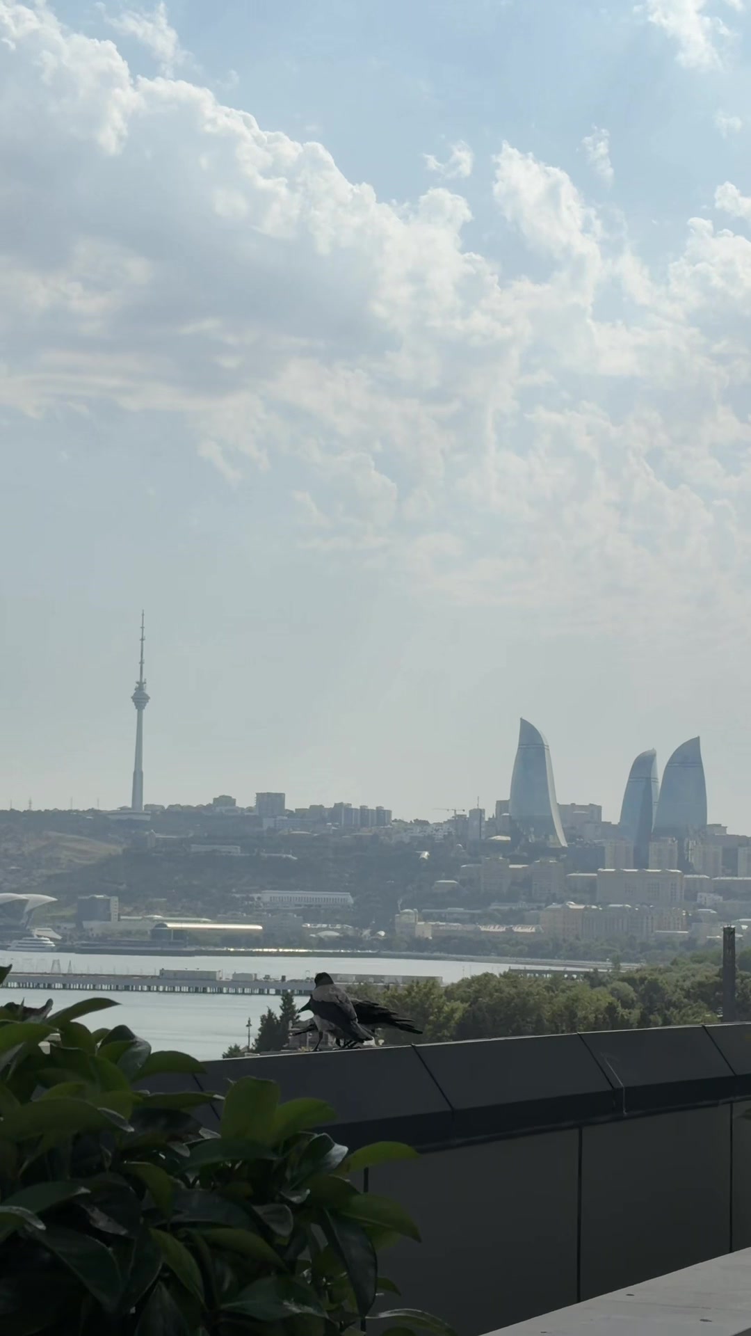 @Alekberova🇦🇿🇷🇺