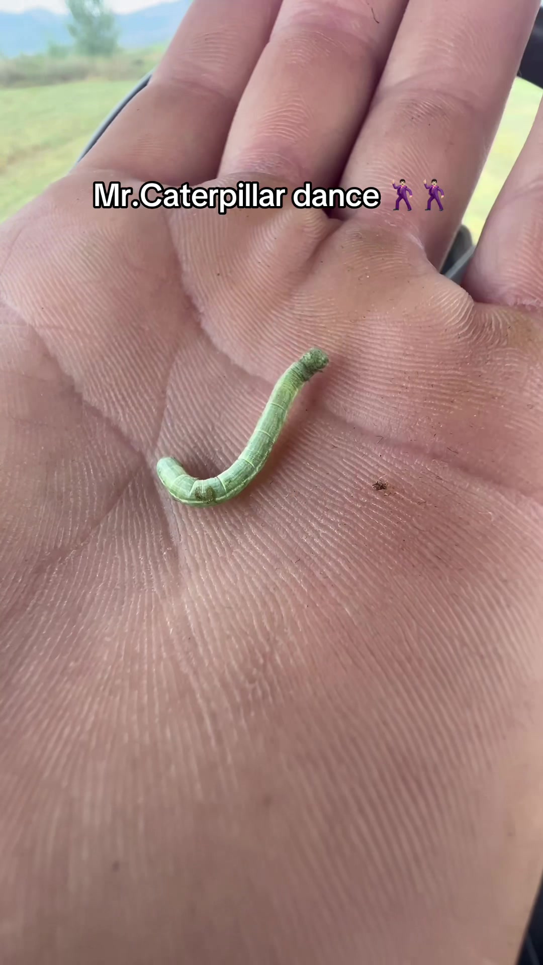 @AgroTradeAlbania