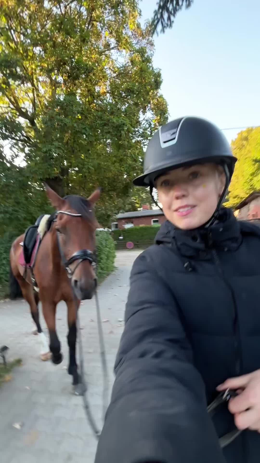 @evis.pferdechaos