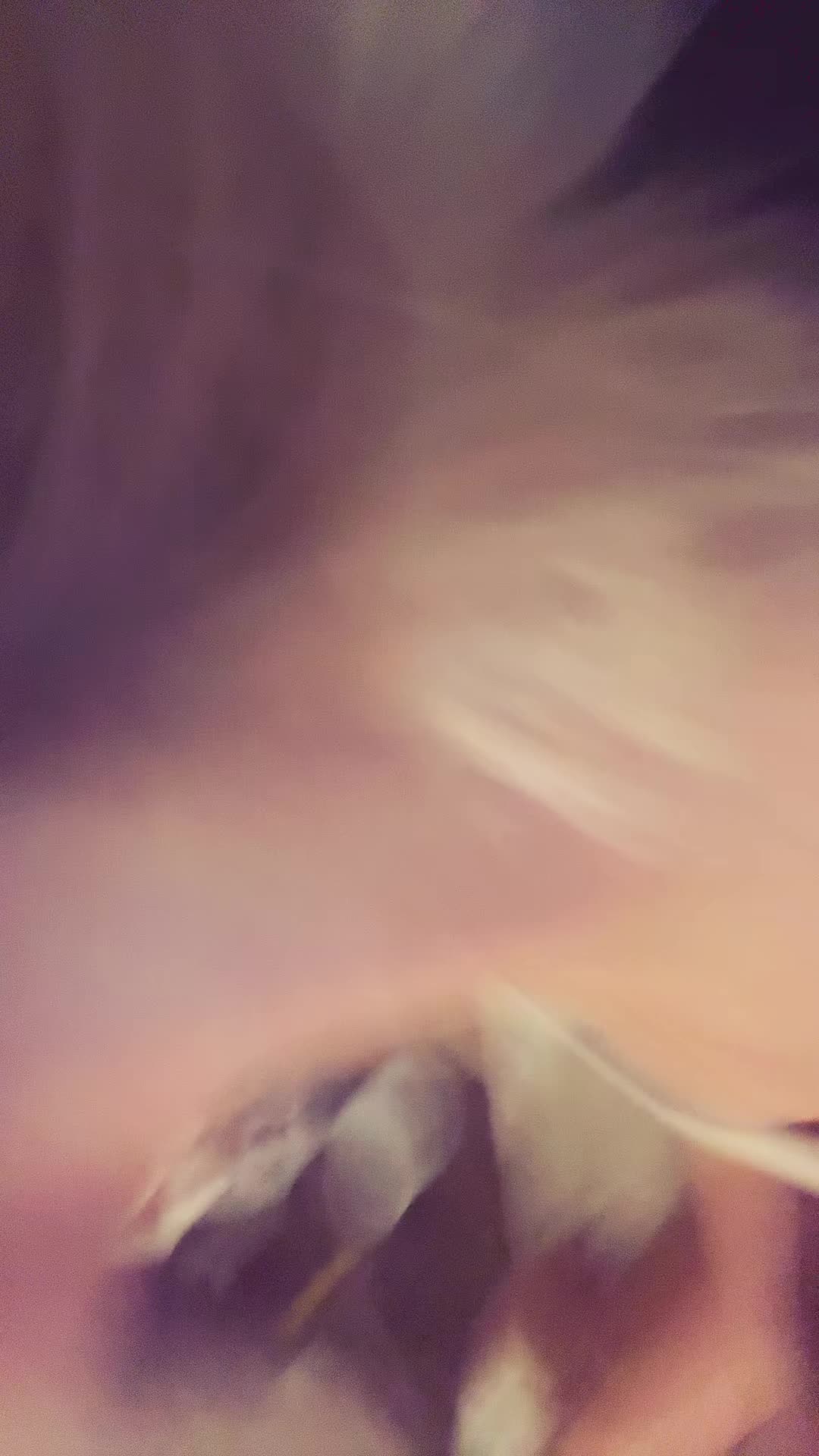 @Goddess😚