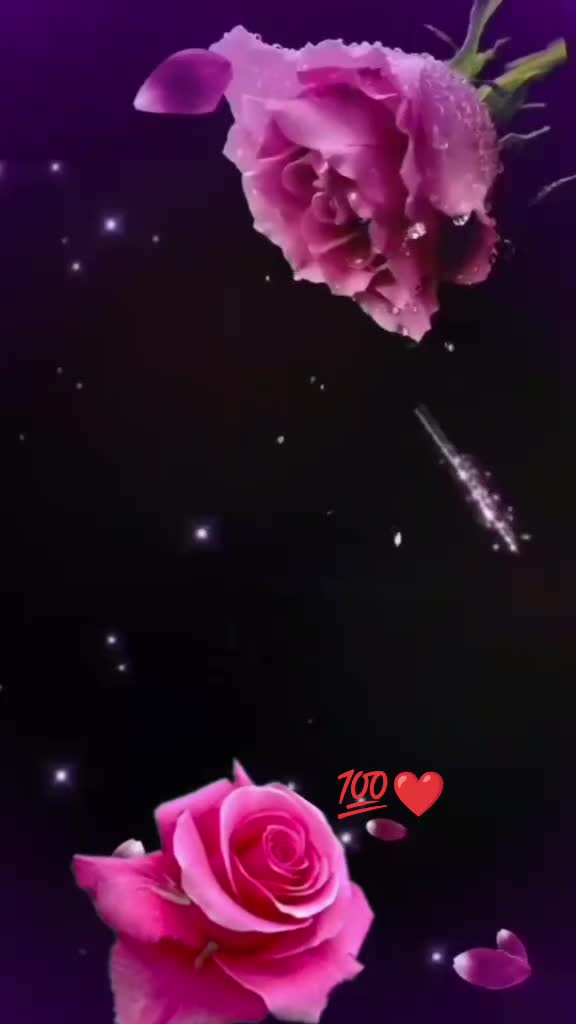 @ₕₑₐd🦋 Qᵤₑₑₙ Wₒₙₙᵢₑ
