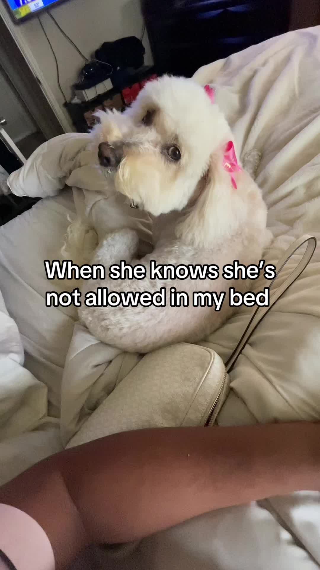 @Sonya🎀
