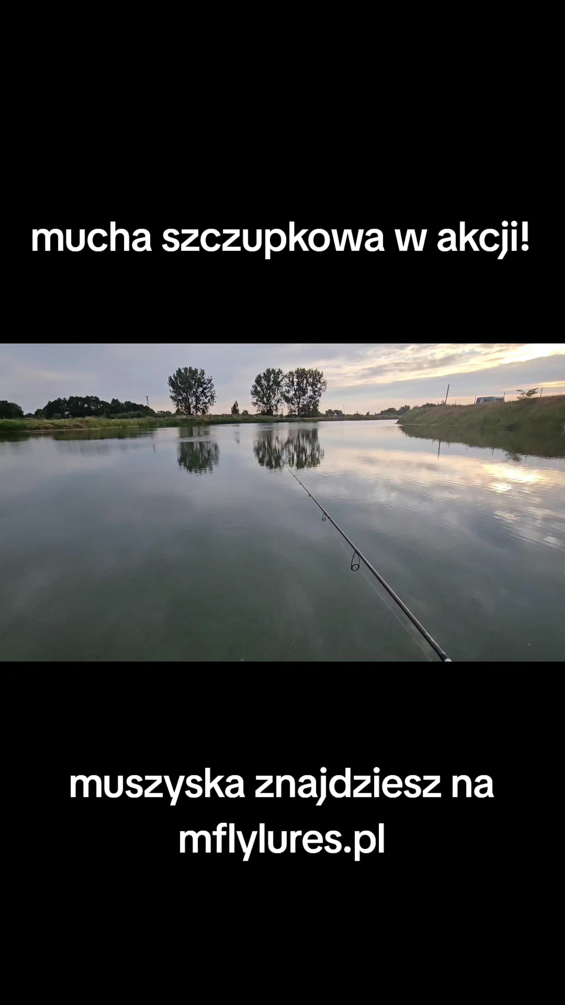 @mfly_lures