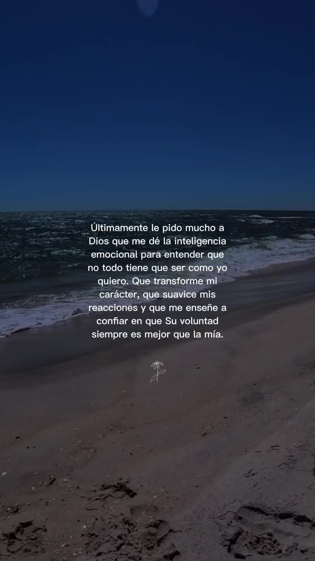 @Evelyn🦋