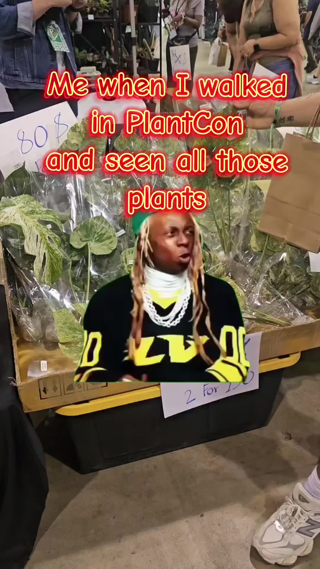 @💚🪴TrendyViews9232❌️