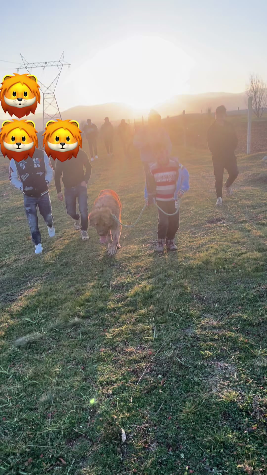 @tiger_spartak