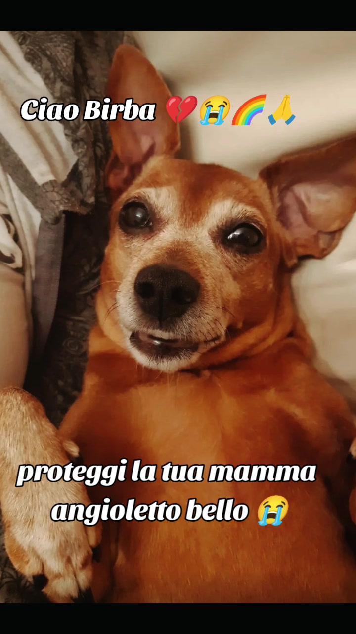 @♥️ POLLY ♥️