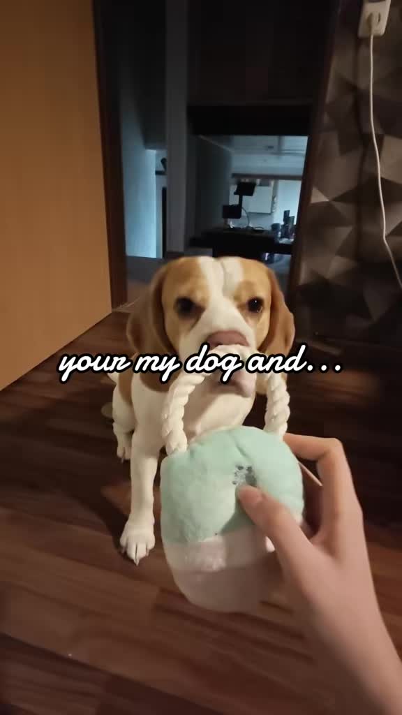 @Cookie
