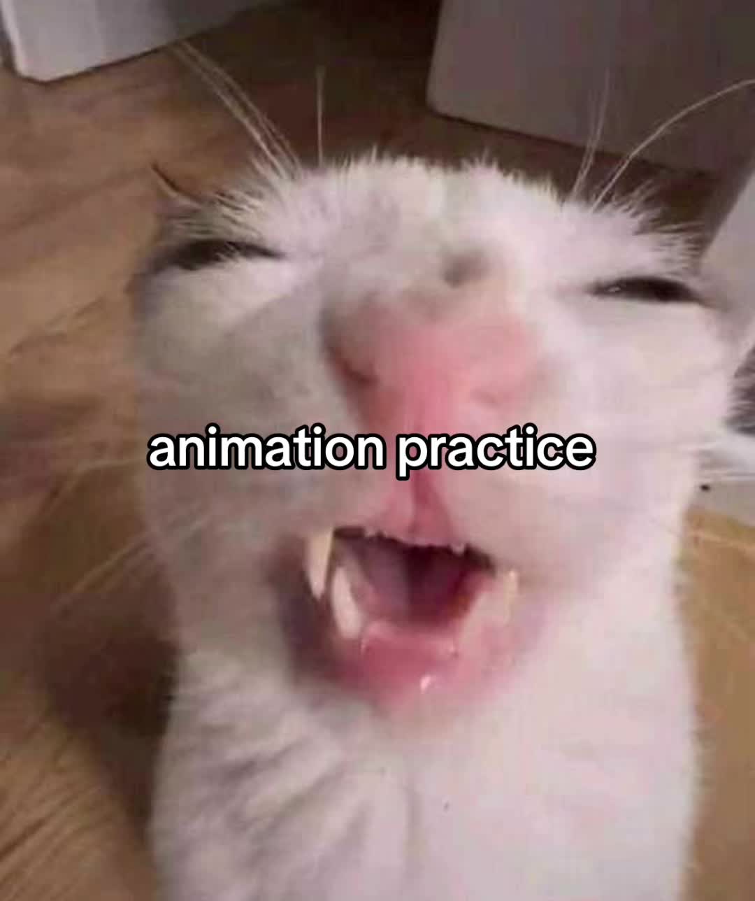 @&bull;&deg;G͓̽̽e͓̽̽n͓̽̽o͓̽&deg;&bull;