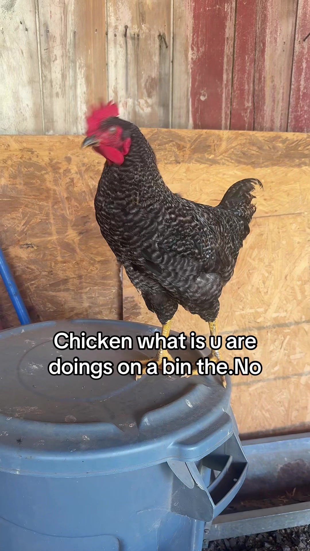 @No
