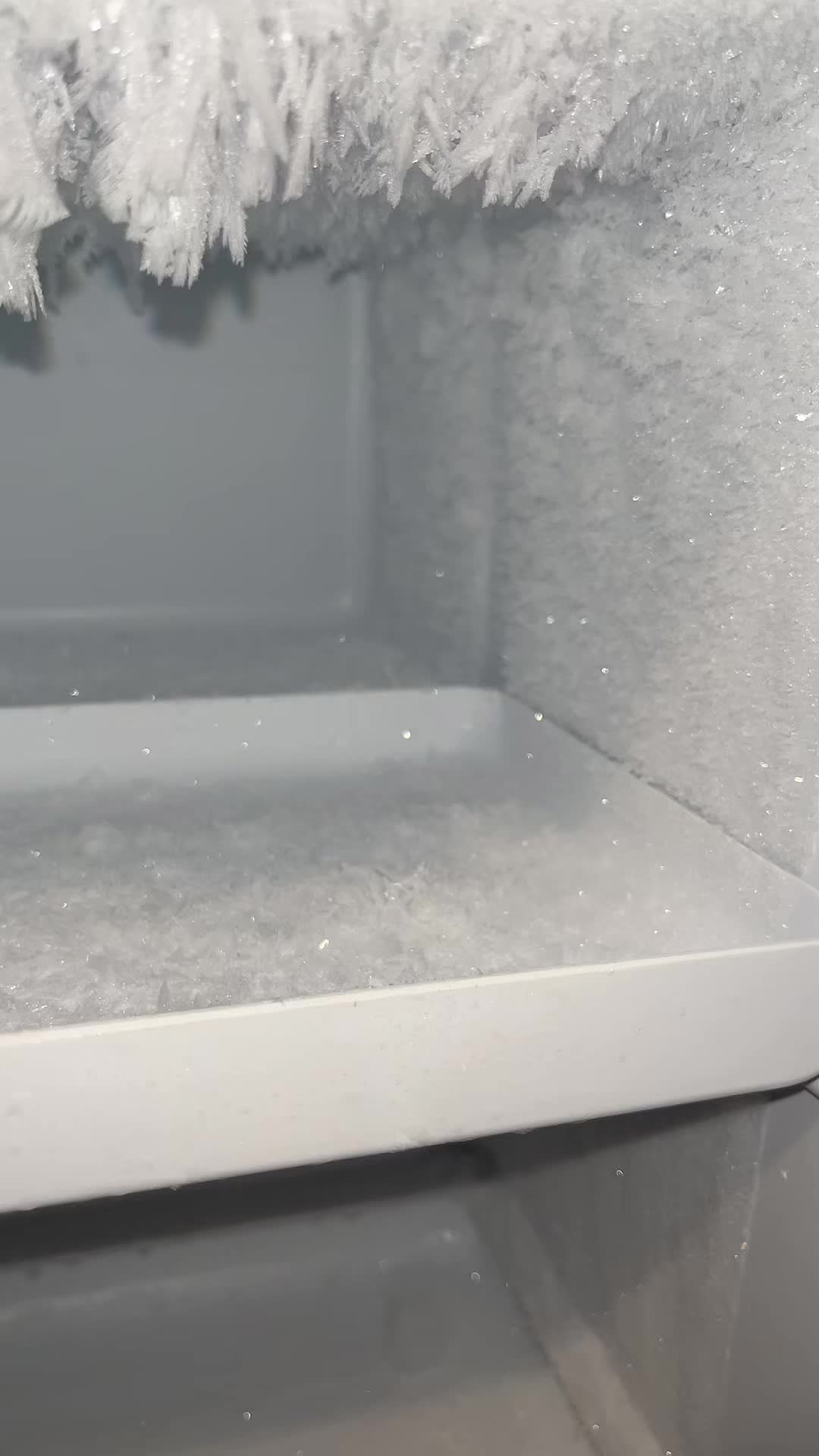 @i🩵ice