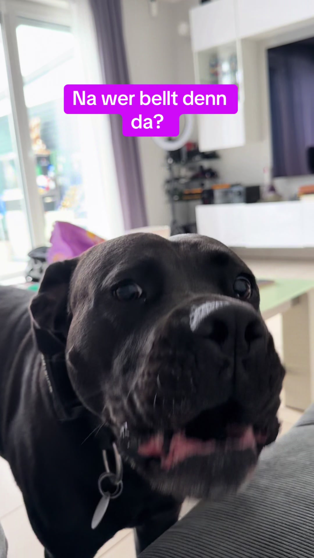 @Braunici
