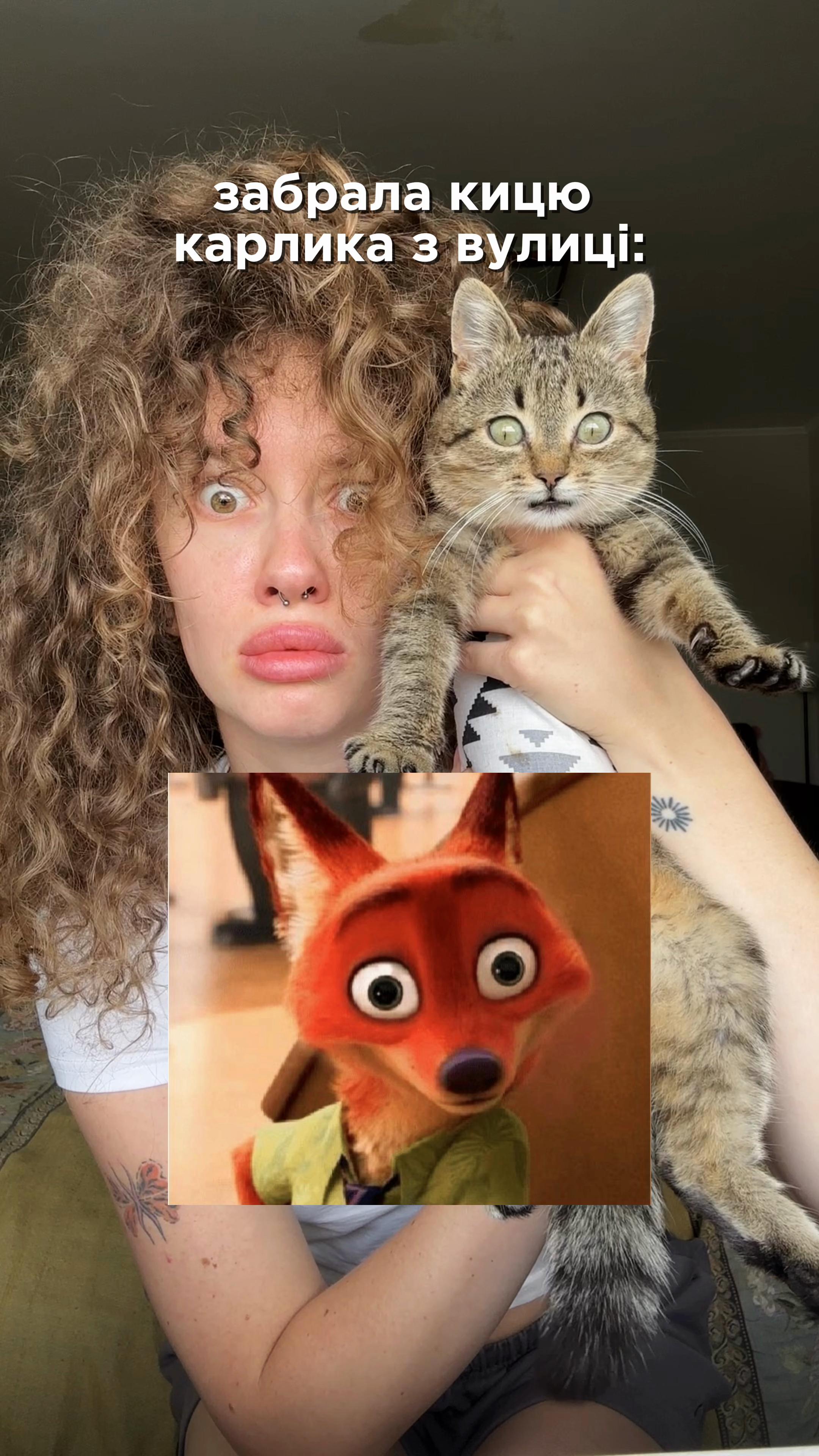 @roxochkaa