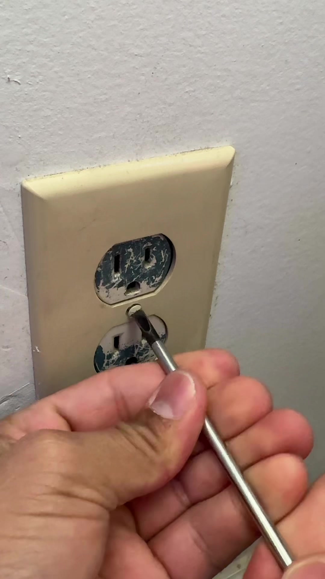 @guzmantips