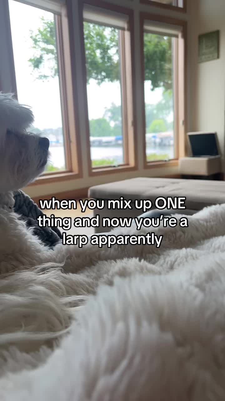 @dinkiewinkie