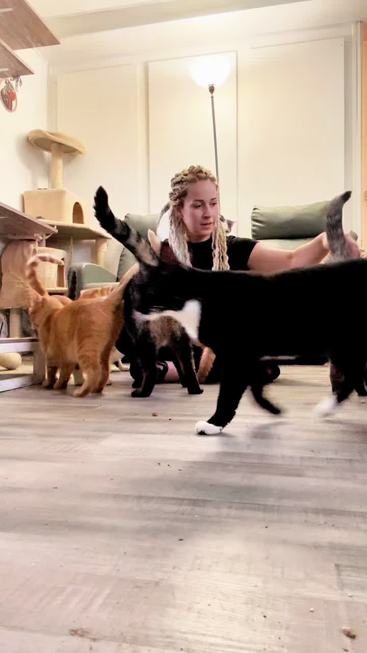 @shininglightanimalrescue