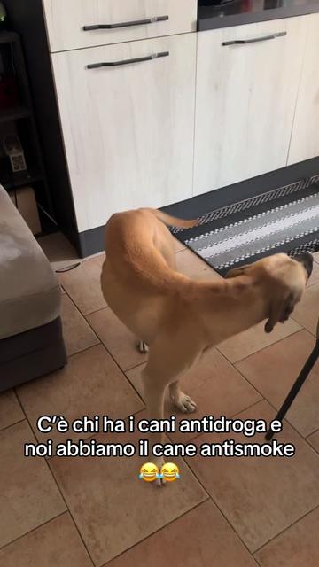 @Gemma Cavaliere