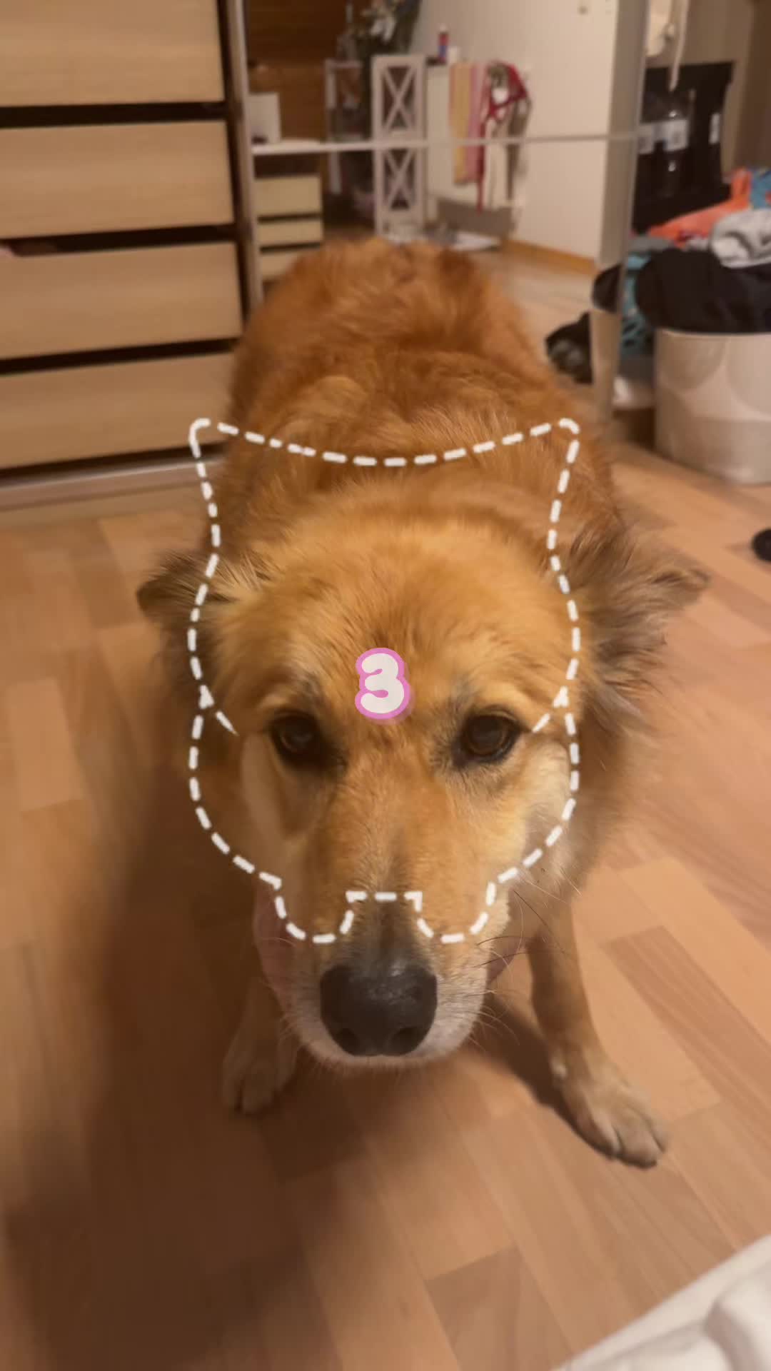 @๐ป๐๐