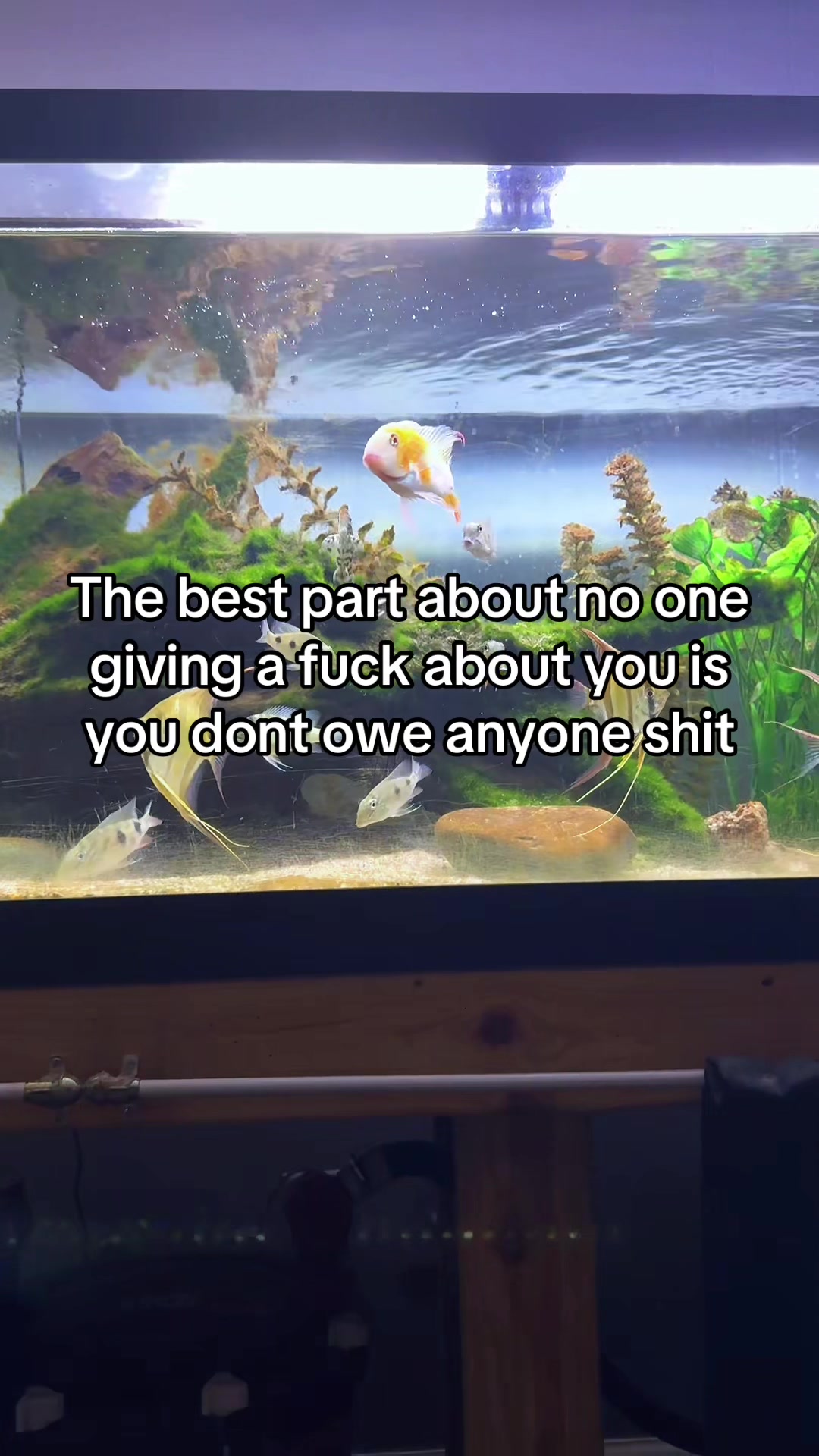 @Fishmon john