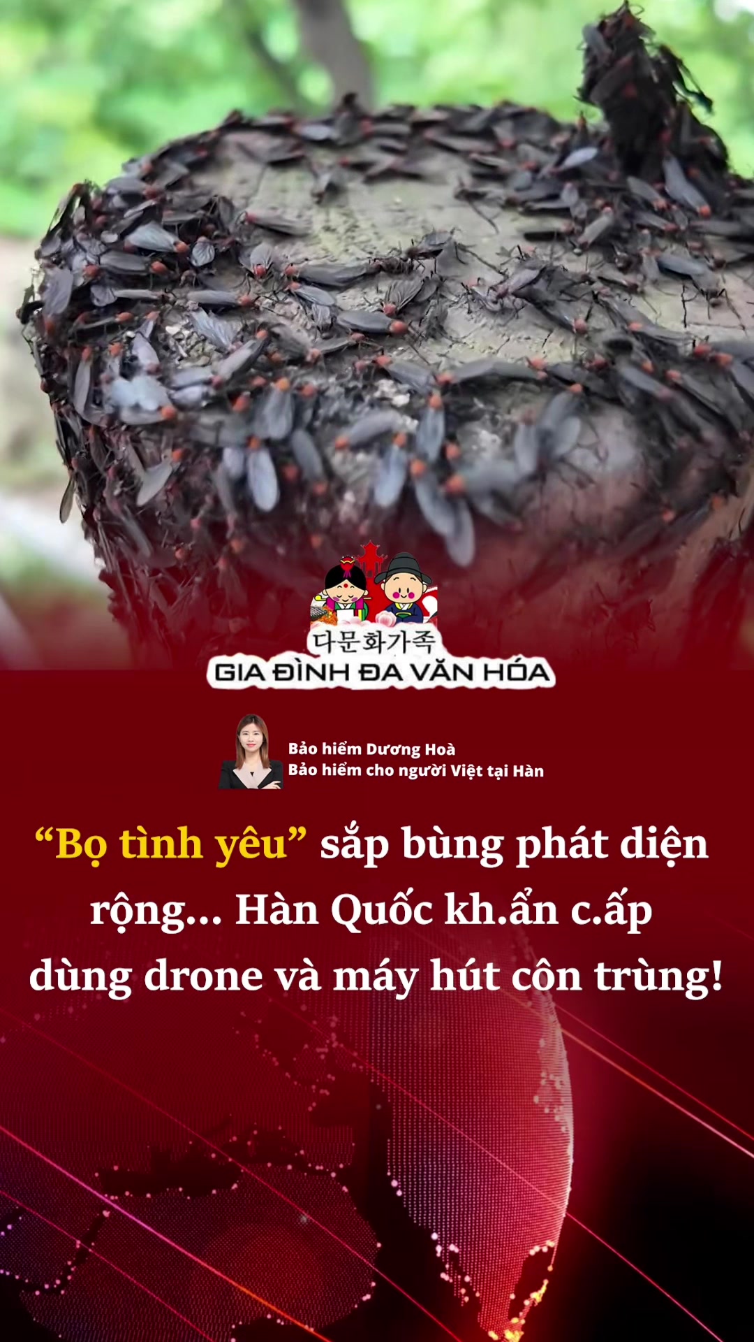 @다문화가족 - GIA Đ&Igrave;NH ĐA VĂN H&Oacute;A