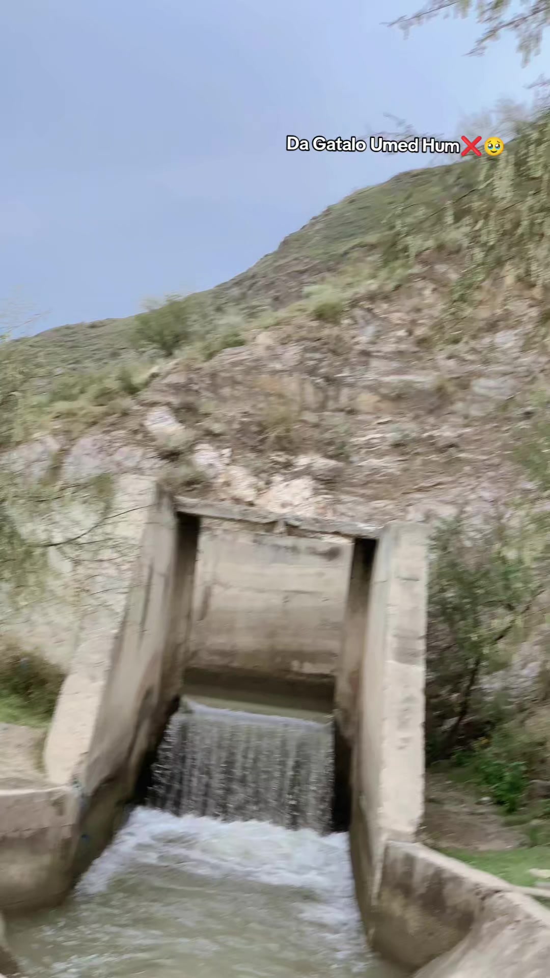 @🚩یاسر رحمان_یوسفزئ🐎